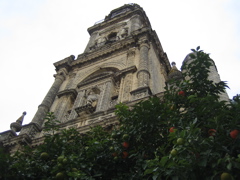 IMG_0557.JPG