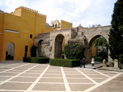 IMG_0588.JPG
