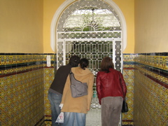 IMG_0560.JPG