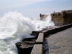 IMG_0637.JPG