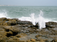 IMG_0641.JPG