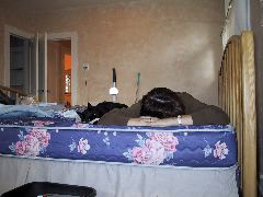 IMG_0003.JPG