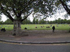 IMG_0019.JPG