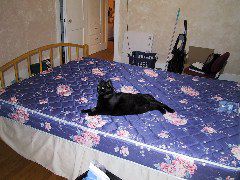 IMG_0005.JPG