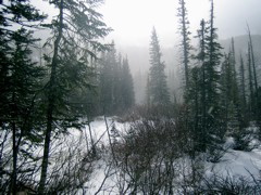 IMG_0370.JPG