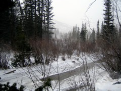 IMG_0371.JPG