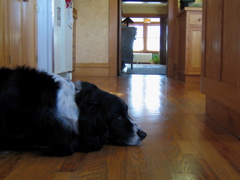 IMG_0154.JPG