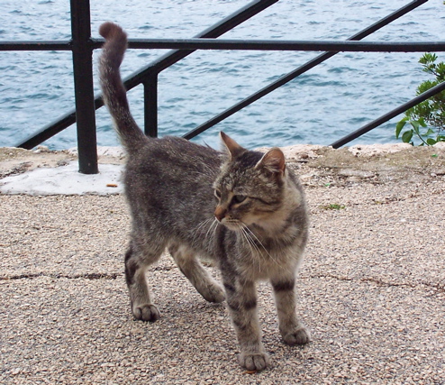 100_0699.JPG