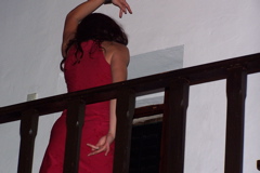100_0802.JPG