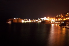 100_0806.JPG