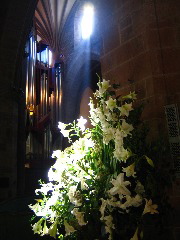 IMG_1542.JPG
