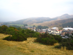 IMG_1590.JPG