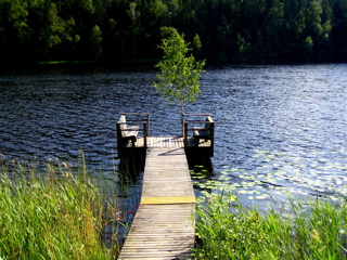 IMG_1174.JPG