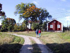 IMG_0003.JPG