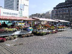IMG_0009.JPG