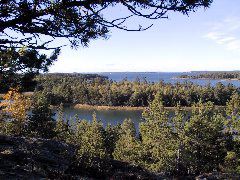 IMG_0007.JPG