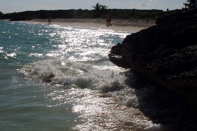 100_1426.JPG