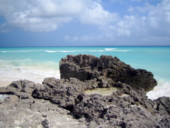 IMG_0208.JPG