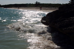 100_1426.JPG