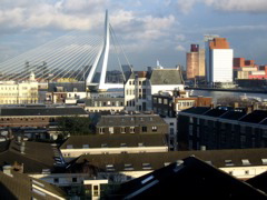IMG_0466.JPG