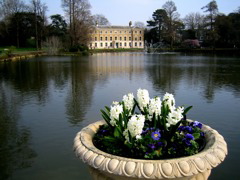 IMG_0747.JPG
