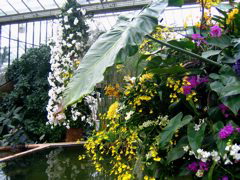 IMG_0491.JPG