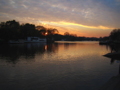IMG_0787.JPG