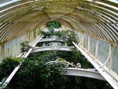 IMG_0500.JPG