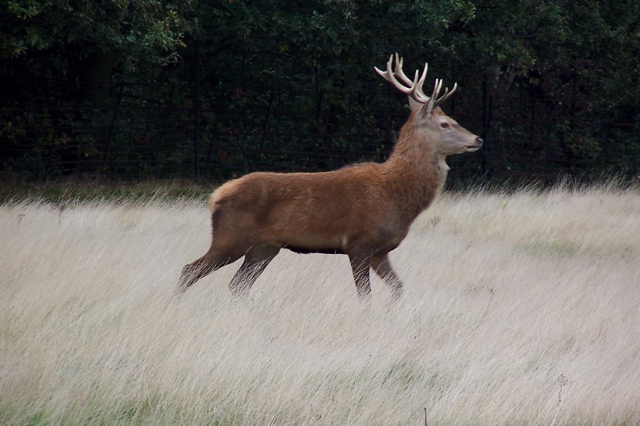 100_1347.JPG copy