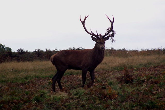 100_1358.JPG copy