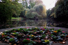 100_1377.JPG
