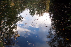 100_1378.JPG