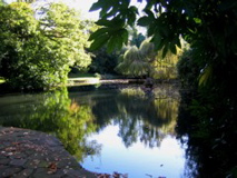 IMG_0007.JPG