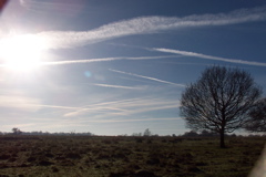 100_1449.JPG