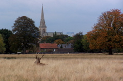 100_1363.JPG copy