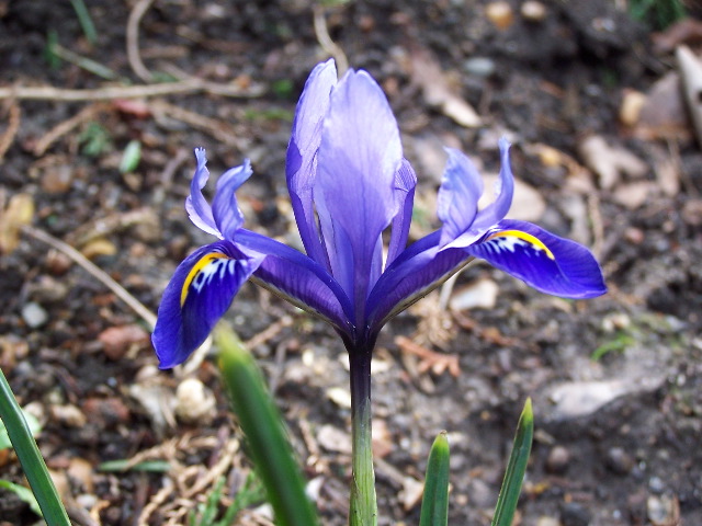100_0096.JPG