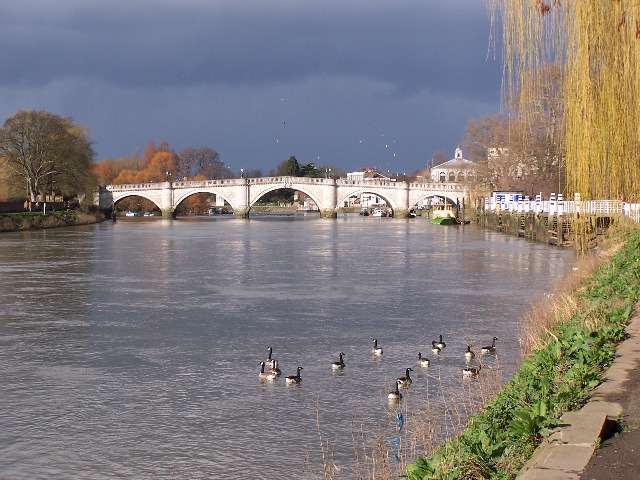 100_0106.JPG