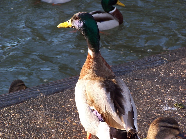 100_0163.JPG
