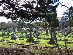 100_0076.JPG