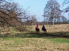 100_0078.JPG