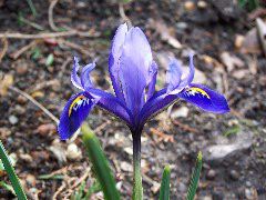 100_0096.JPG