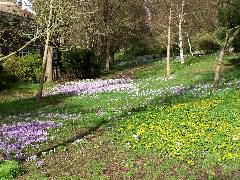 100_0103.JPG
