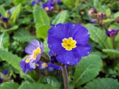 100_0104.JPG