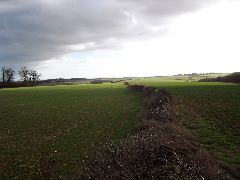 100_0122.JPG