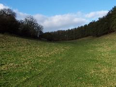 100_0129.JPG