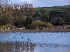 100_0140.JPG