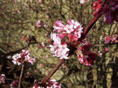 100_0148.JPG