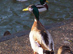 100_0163.JPG
