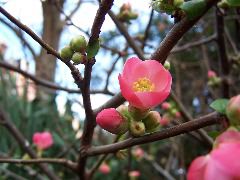 100_0089.JPG