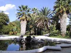 IMG_0087.JPG